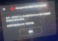 FSD落地中国当晚就有车主被禁用 究竟是怎么回事？