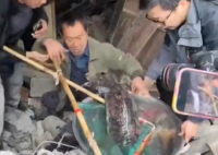 村民老屋拆迁挖出近40斤重娃娃鱼 内幕实在让人惊个呆