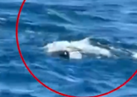 两名俄游客在菲潜水被暗流卷走死亡 究竟是怎么回事？