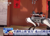 机器狗的技能值已经拉满了 背后真相实在让人惊愕