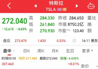 特斯拉市值一夜蒸发超2900亿 事件始末2025最新消息