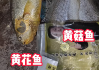 网购黄花鱼到手只有包装是黄的 原因竟是这样太崩溃了