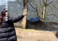 女子挑衅鸵鸟被一脚踹烂羽绒服 内幕曝光简直太意外了