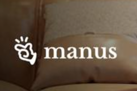 第一波用Manus赚钱的人出现了 事件始末2025最新消息