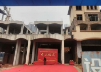 湖南一“烂尾楼”业主自筹千万复工 始料未及真相简直太意外了