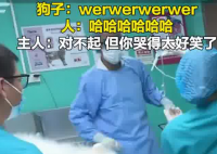 主人带狗狗做绝育哭声太惨引围观 背后真相实在让人惊愕