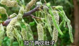 女子一口野菜吃进ICU 内幕曝光简直太意外了