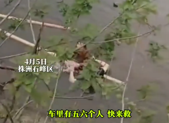 小车落入池塘 大爷借助竹棍跳水救人 实在太感人了