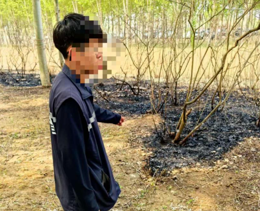 男子点燃杨柳絮引发火情被行拘 究竟是怎么回事？