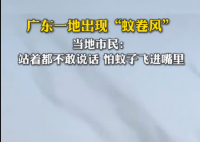 广东一地蚊子聚集飞舞似龙卷风 画面曝光简直不忍直视