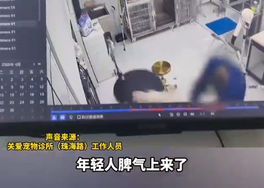 江苏一宠物医院被曝粗暴摔打宠物狗 画面曝光简直不忍直视