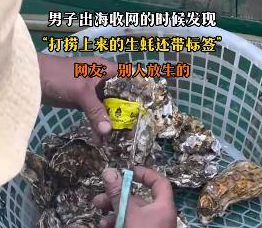 男子出海打捞上来的生蚝带商品标签 背后真相实在让人惊愕