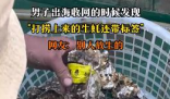 男子出海打捞上来的生蚝带商品标签 背后真相实在让人惊愕
