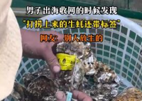 男子出海打捞上来的生蚝带商品标签 背后真相实在让人惊愕