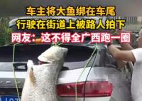 车主钓到巨型大鱼绑车尾炫耀 场面颇为引人注目