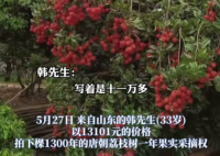90后小伙拍下1300年荔枝树采摘权 为什么引争议？