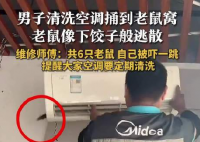 男子洗空调捅鼠窝 老鼠下饺子般逃散 真相简直太恐怖了