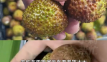 8岁男孩花1万多网购26箱荔枝 这差距也太大了