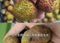 8岁男孩花1万多网购26箱荔枝 这差距也太大了