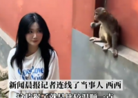 女生投喂黔灵山猴子被扇巴掌 内幕曝光简直太意外了