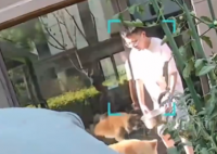 朋友用狗喝水的盆浇花被狗撕咬 究竟是怎么回事？
