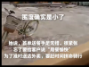 白领兼职骑单车送外卖 8天瘦2斤 实在太让人佩服了