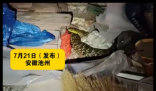 老人在杂物中发现“看家蛇” 实在太可怕了