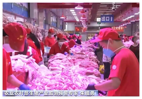 猪肉大涨大跌 猪企开始给猪减肥了 始料未及真相简直太意外了