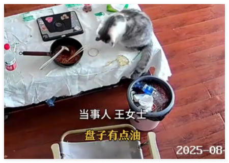 3万金镯子被猫推进垃圾桶后扔了 内幕实在让人惊个呆