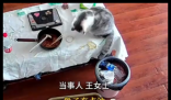 3万金镯子被猫推进垃圾桶后扔了 内幕实在让人惊个呆