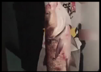 男子钓了一条大鱼 妻子情绪价值拉满 这也太幸福了