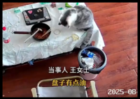 3万金镯子被猫推进垃圾桶后扔了 内幕实在让人惊个呆