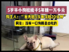 5岁半小狗捡瓶5年攒下万元存款 到底是怎么做到的？