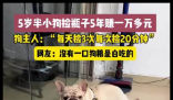 5岁半小狗捡瓶5年攒下万元存款 到底是怎么做到的？