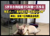 5岁半小狗捡瓶5年攒下万元存款 到底是怎么做到的？