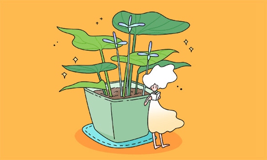 广西科技大学附属卫生学校是公办还是民办学校？