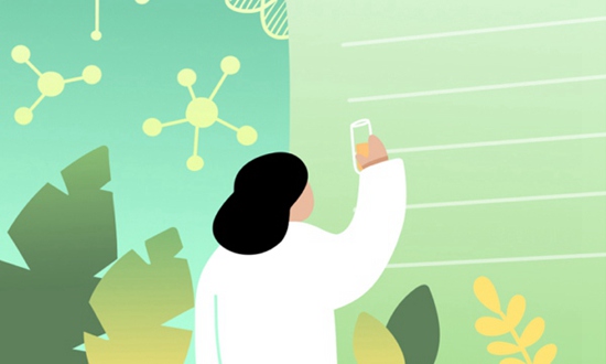 湖北大学知行师范学院2025年招生代码