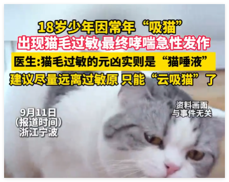男孩常年“吸猫”致哮喘急性发作 内幕实在让人惊个呆