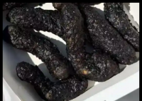 德克士回应黑金藤椒小酥肉外形被吐槽 为什么引热议什么情况？