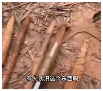 养猪场丢失20多头猪发现多支箭头 简直太崩溃了
