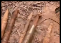 养猪场丢失20多头猪发现多支箭头 简直太崩溃了