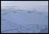 研究:南极海底甲烷渗出速度惊人 事件始末2025最新消息