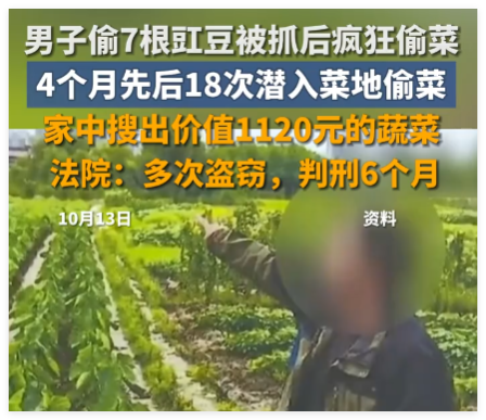 男子4个月偷菜18次获刑6个月 背后真相实在让人惊愕