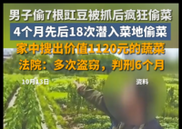 男子4个月偷菜18次获刑6个月 背后真相实在让人惊愕