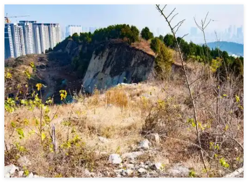 “摸金校尉”在村里租房3年秘密寻墓 简直太让人意外了