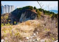 “摸金校尉”在村里租房3年秘密寻墓 简直太让人意外了