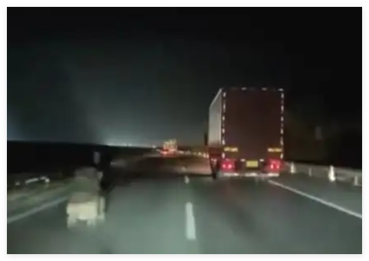 老人高速逆行还疑推婴儿车?交警回应 内幕曝光简直太意外了