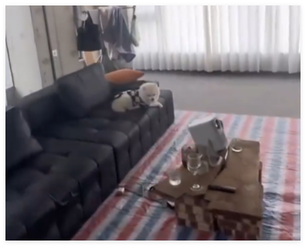 90后小伙花7000元装修入住毛坯房 究竟是怎么回事？