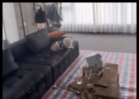 90后小伙花7000元装修入住毛坯房 究竟是怎么回事？